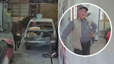 Danalar oto tamirciyi bastı, görgü tanığı: "Nazikçe geldiler, nazikçe gittiler"
