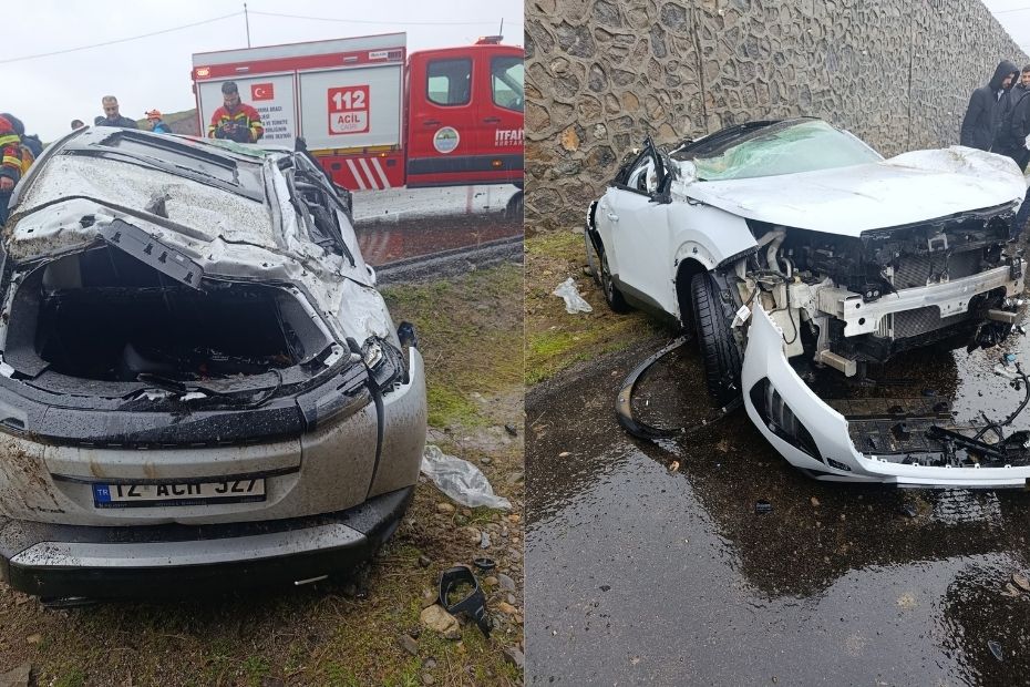 Bingöl'de otomobil şarampole devrildi