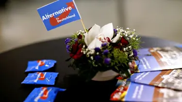 AfD’den New York’ta ABD ve Alman milliyetçilerine ittifak çağrısı