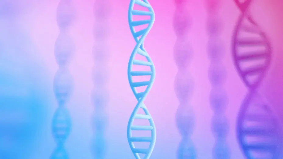 AlphaGenome: Google’dan insanın “karanlık genomunu” aydınlatacak yapay zeka aracı