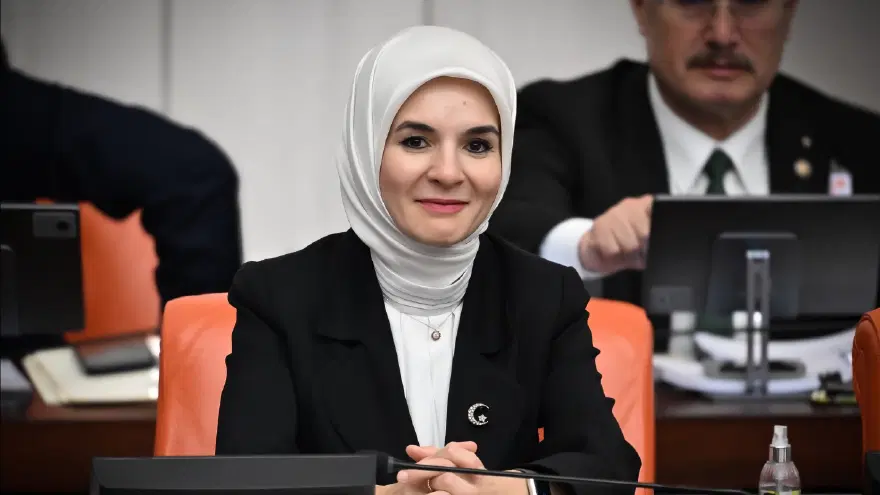 Suça sürüklenen çocuk yasası TBMM'de kabul edildi 8