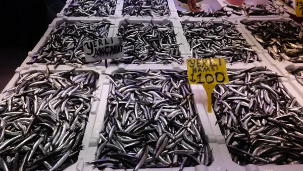 Günde 60-70 kasa satılıyordu. Az çıkarsa 100, bolsa kilosu 50 lira