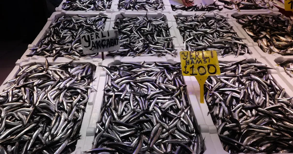 Günde 60-70 kasa satılıyordu. Az çıkarsa 100, bolsa kilosu 50 lira