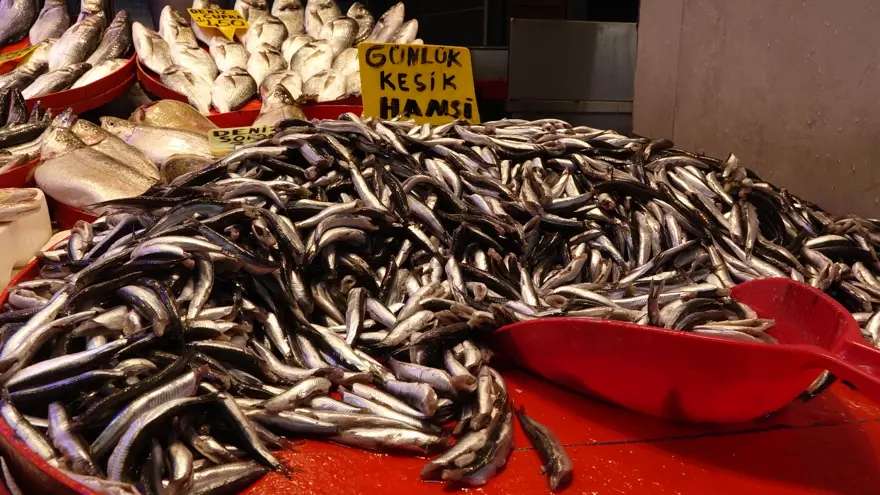 Günde 60-70 kasa satılıyordu. Az çıkarsa 100, bolsa kilosu 50 lira 2
