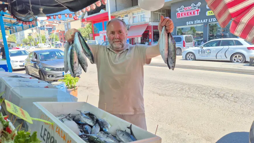 Yasak kalktı, bolluk yaşanıyor. Tanesi 100 liradan satılıyor 