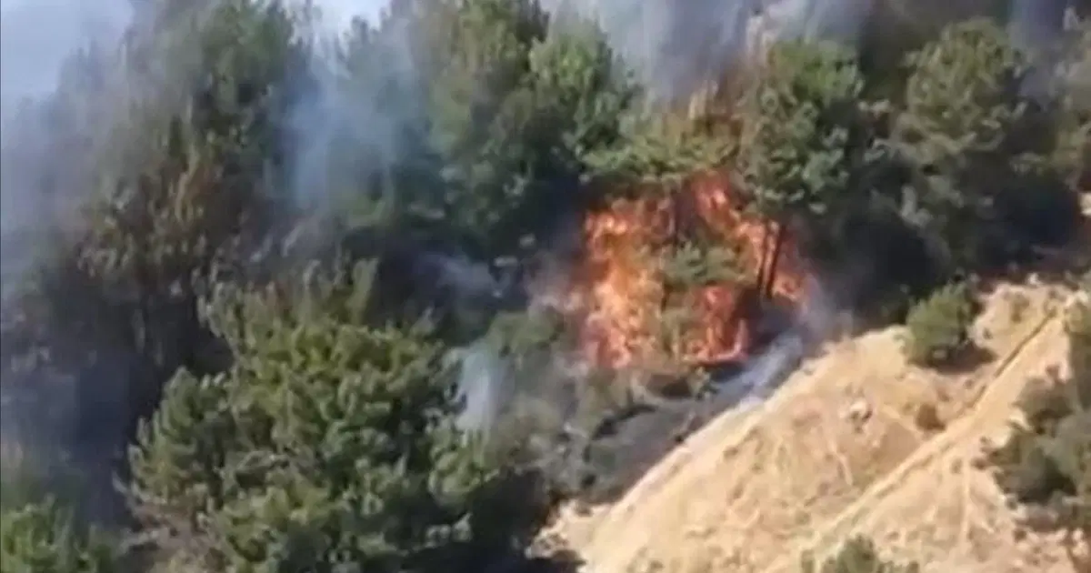 Balıkesir'de orman yangını. Ekipler müdahale ediyor