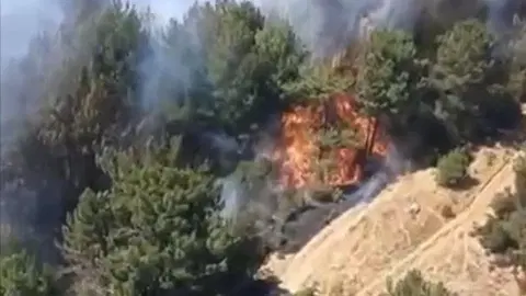 Balıkesir'de orman yangını. Ekipler müdahale ediyor
