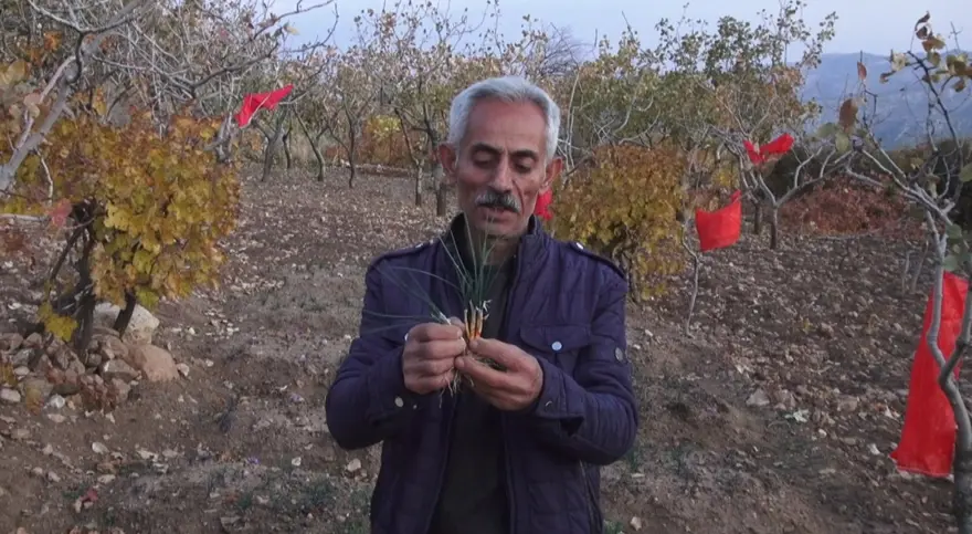 YENİ BİR GEÇİM KAYNAĞI OLACAK 2