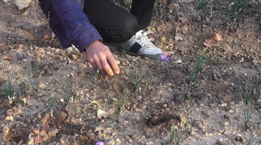 İLK DENEMEDE YÜKSEK VERİM 1