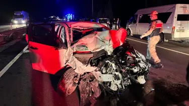 Büyükbaş hayvanlar zincirleme kazaya neden oldu