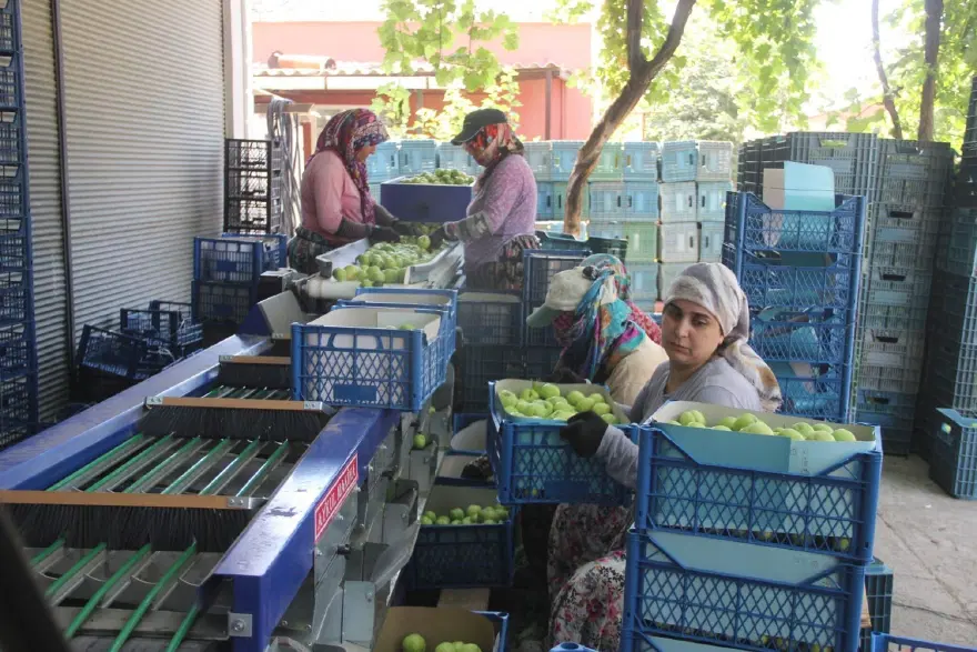 "KENDİ PİYASASINI KENDİ OLUŞTURAN BİR ÜRÜN" 2