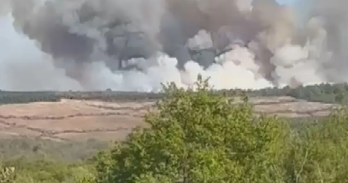 Beykoz'da orman yangını. Havadan müdahale başladı