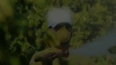 Böcek ilaçlarının satışında yeni düzenleme. Reçetesiz ve internetten satışı yasaklandı 