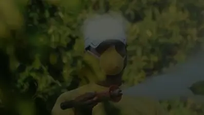 Böcek ilaçlarının satışında yeni düzenleme. Reçetesiz ve internetten satışı yasaklandı 