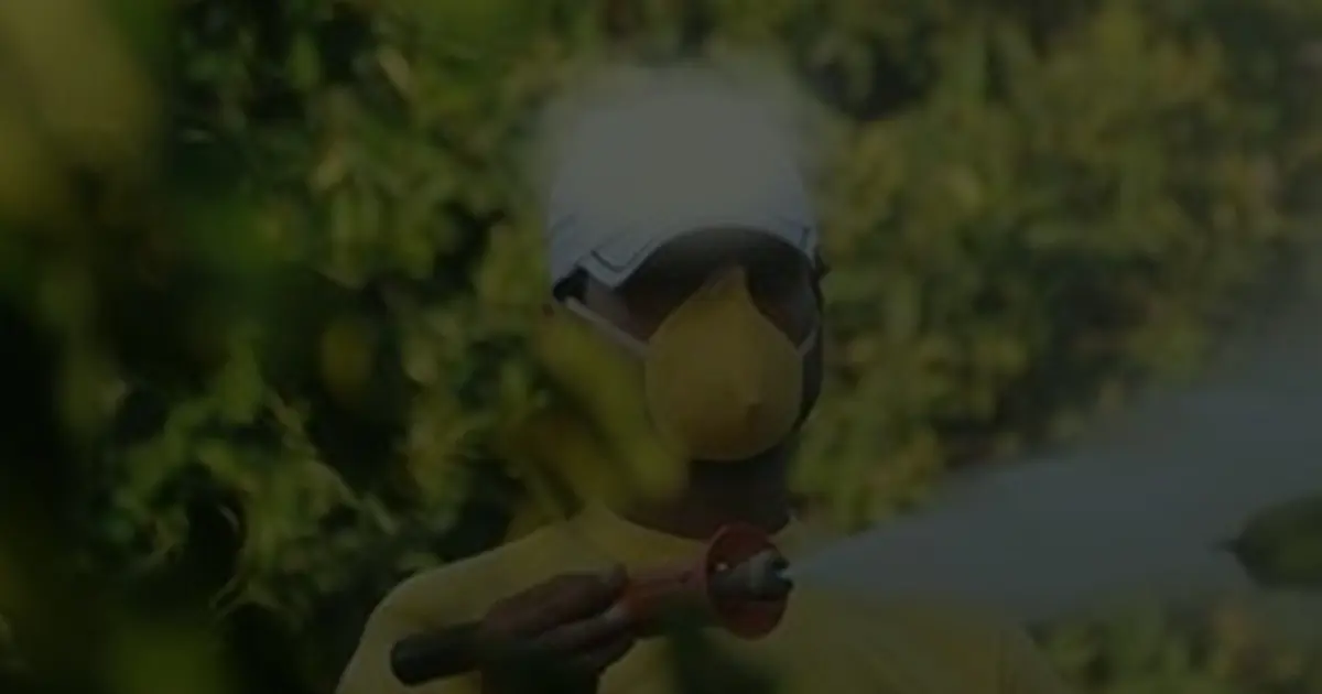 Böcek ilaçlarının satışında yeni düzenleme. Reçetesiz ve internetten satışı yasaklandı