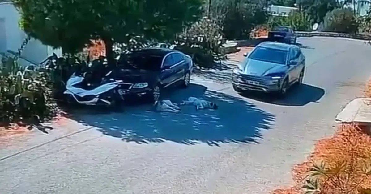 Otomobille iki köpeğin üzerinden geçti, yoluna devam etti