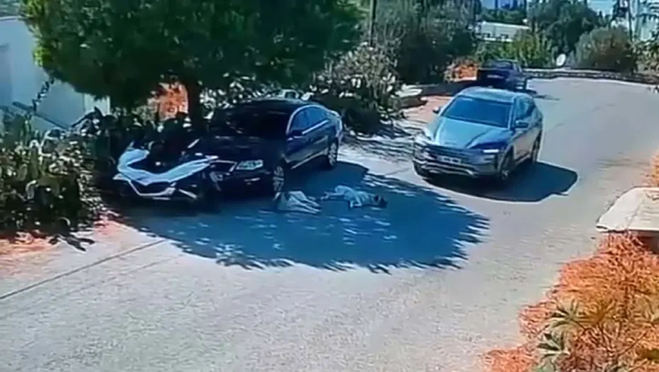 Otomobille iki köpeğin üzerinden geçti, yoluna devam etti