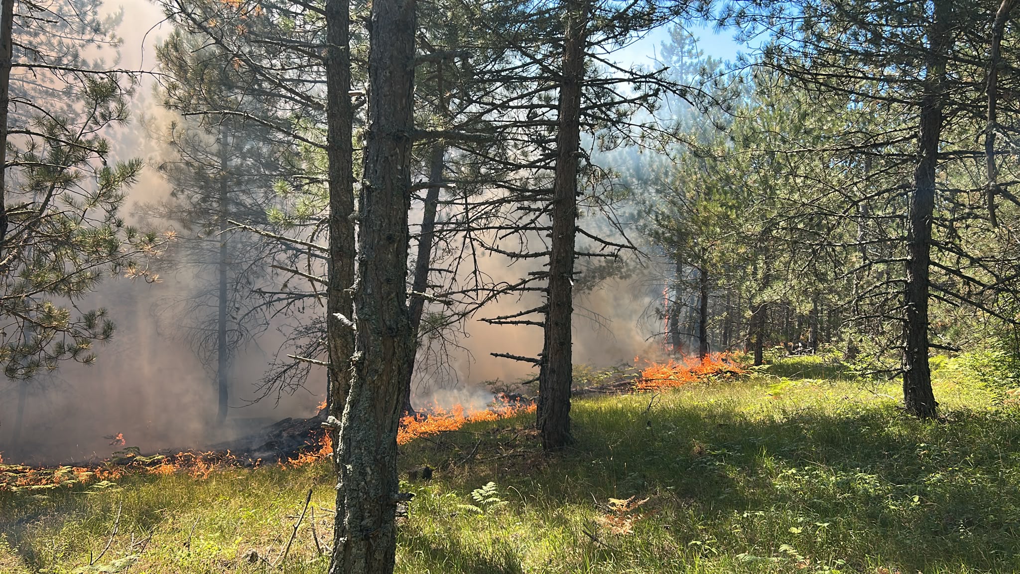 Bolu'daki orman yangını söndürüldü