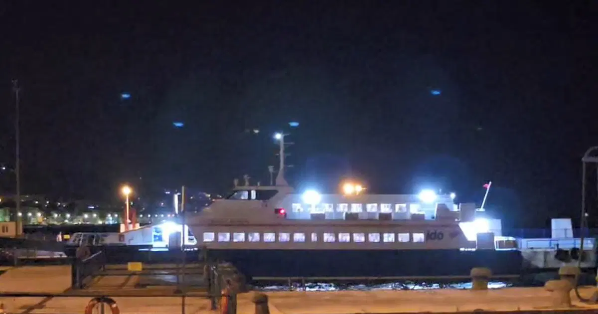 Marmara'da Panik. Feribot iskeleye çarptı.