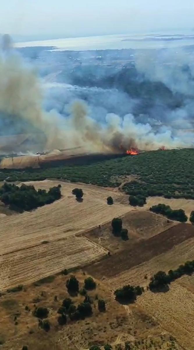 Bursa'da orman yangını