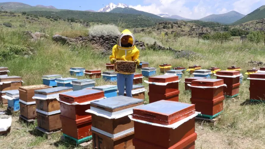 Dedesinin terk ettiği mahalleye döndü. 20 yaşında hayatı değişti 3