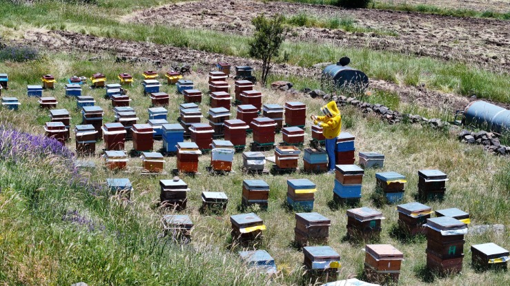 Dedesinin terk ettiği mahalleye döndü. 20 yaşında hayatı değişti