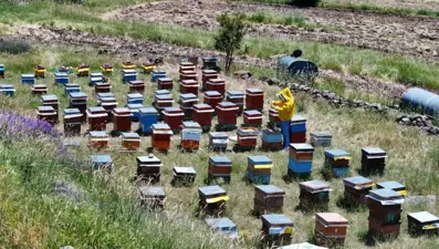 Dedesinin terk ettiği mahalleye döndü. 20 yaşında hayatı değişti