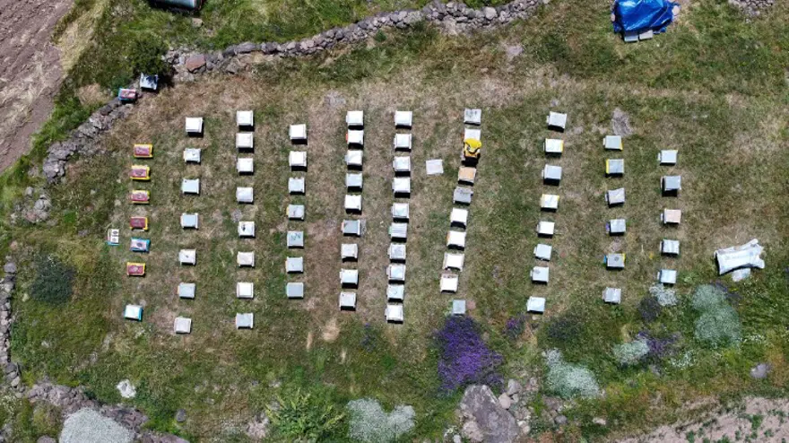 Dedesinin terk ettiği mahalleye döndü. 20 yaşında hayatı değişti 1