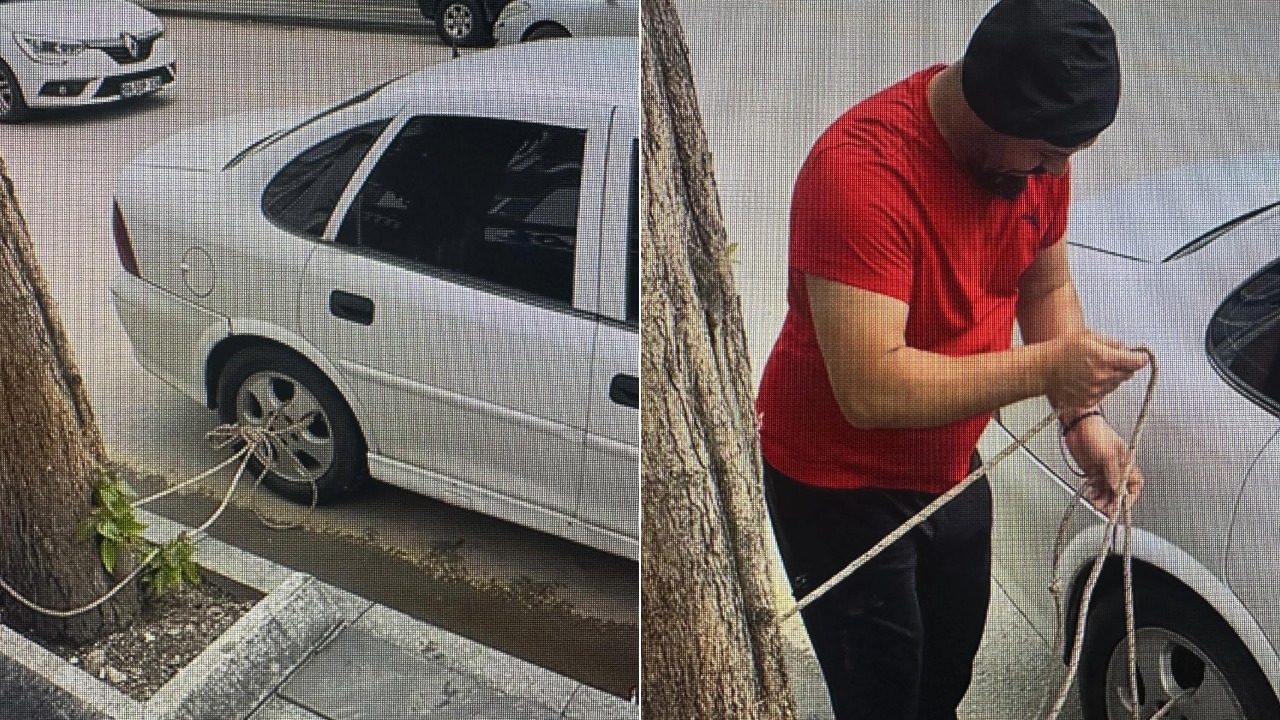 Selden korktu arabasını ağaca bağladı. Tokat sele hazırlanıyor