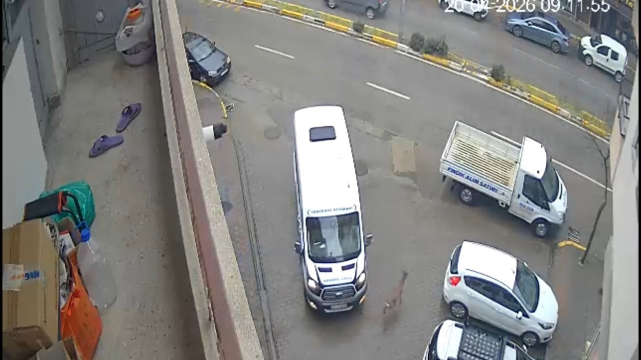 Karaca şehir merkezine indi, iki araca çarpıp kayboldu
