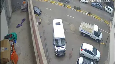 Karaca şehir merkezine indi, iki araca çarpıp kayboldu