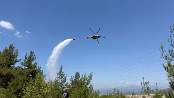 Bursa'da çıkan orman yangını büyümeden söndürüldü