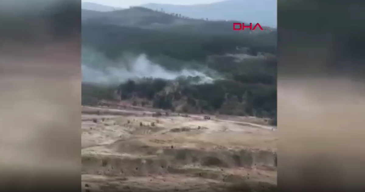 Bursa'da orman yangını çıktı. Ekipler müdahale ediyor