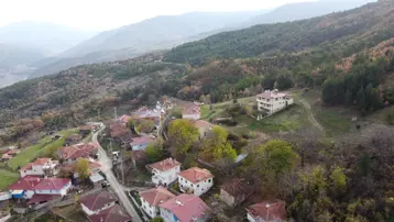 Mantar toplamak için evden ayrılan kadın, ormanda ölü bulundu