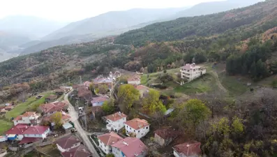 Mantar toplamak için evden ayrılan kadın, ormanda ölü bulundu