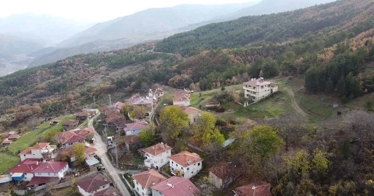 Mantar toplamak için evden ayrılan kadın, ormanda ölü bulundu