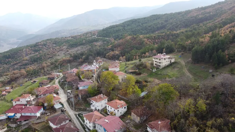 Mantar toplamak için evden ayrılan kadın, ormanda ölü bulundu