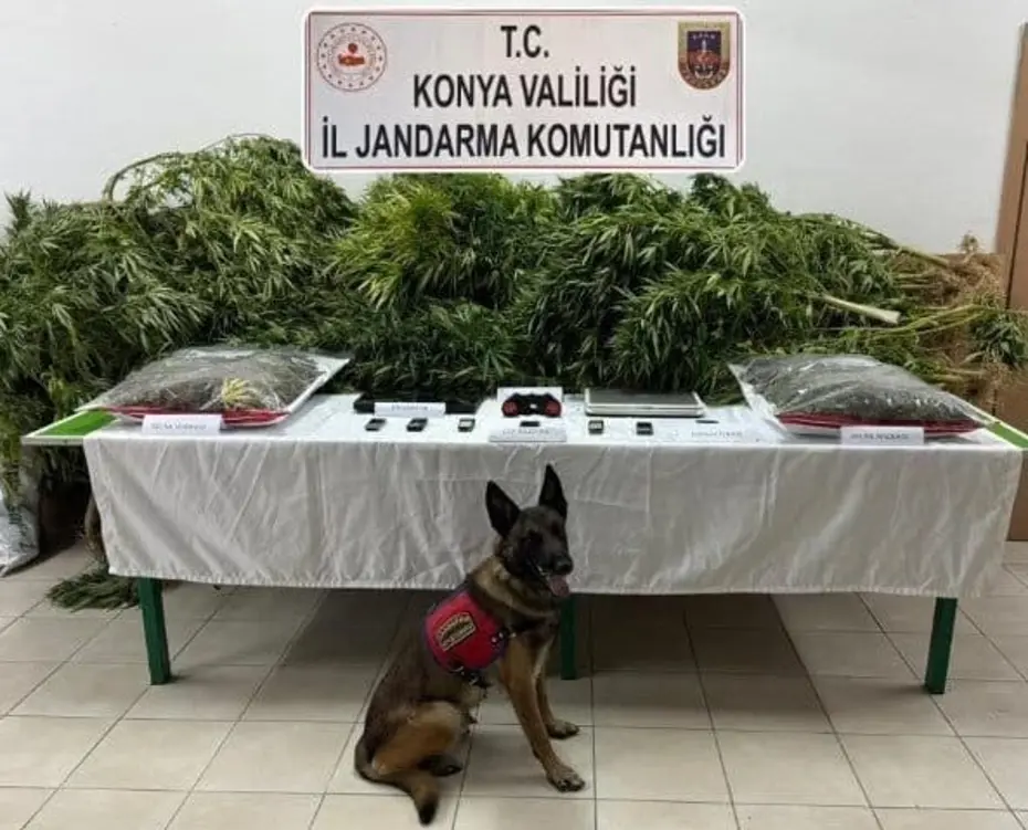 Çiftliğinde esrar ele geçirilen avukat beraat etti, 2 çalışanı 14’er yıl ceza aldı