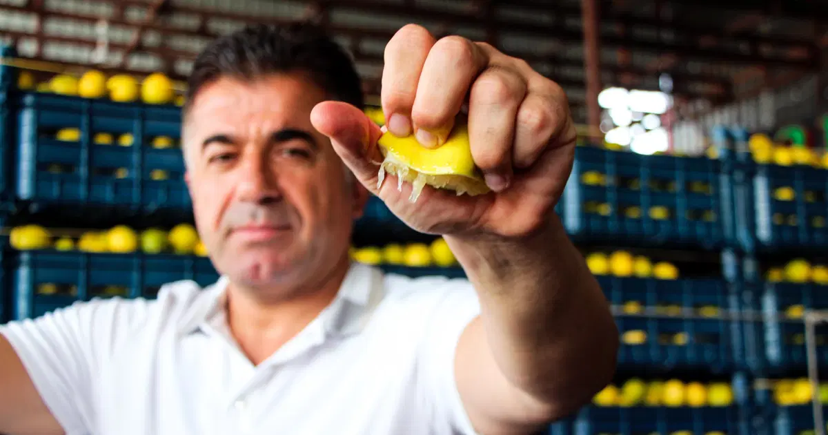 Bahçede 5 TL ama markette 100 TL'den alıcı buluyor. Tam 20 katlık fiyat uçurumu