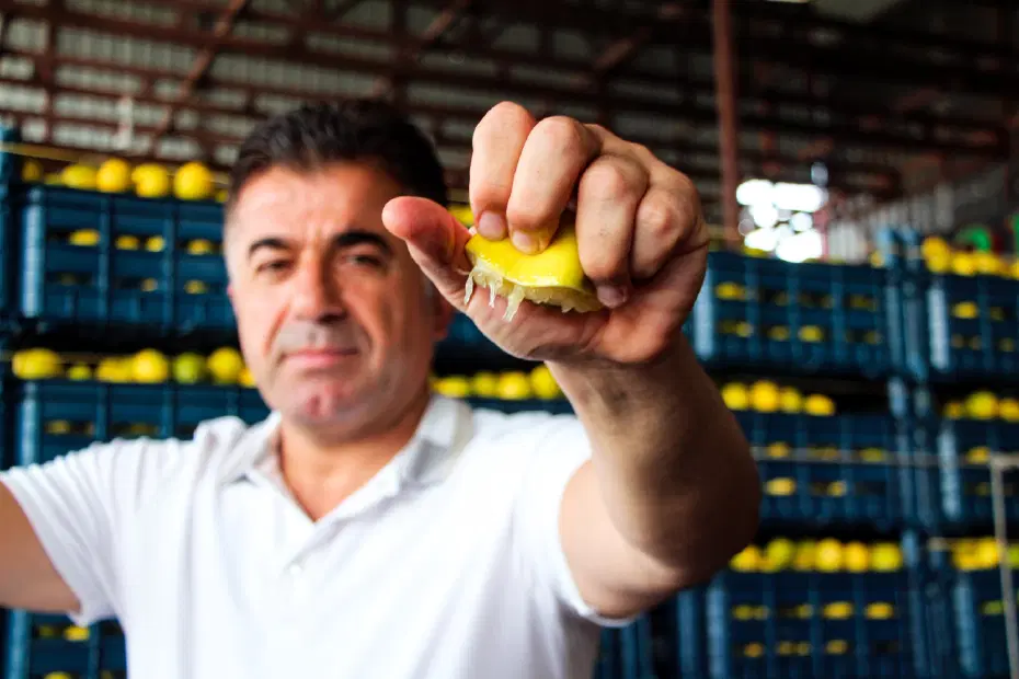 Bahçede 5 TL ama markette 100 TL'den alıcı buluyor. Tam 20 katlık fiyat uçurumu