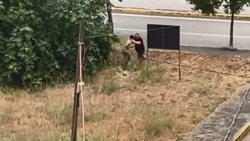 Dayısını palayla öldürdü