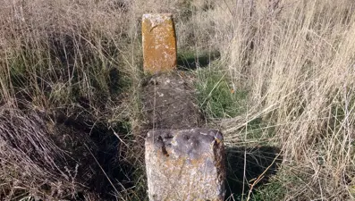 Altın bulmak için kazdılar, insan kemiklerini çıkardılar