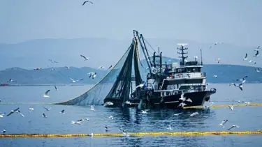 Denizlerde av yasağı 15 Nisan'da başlıyor