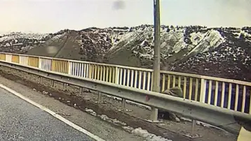 PTS kayıtları ortaya çıktı. Gülistan'ın son görüldüğü yerden aracıyla geçmiş