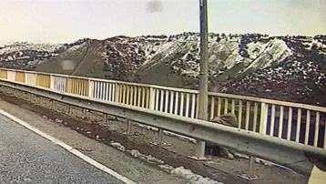 PTS kayıtları ortaya çıktı. Gülistan'ın son görüldüğü yerden aracıyla geçmiş