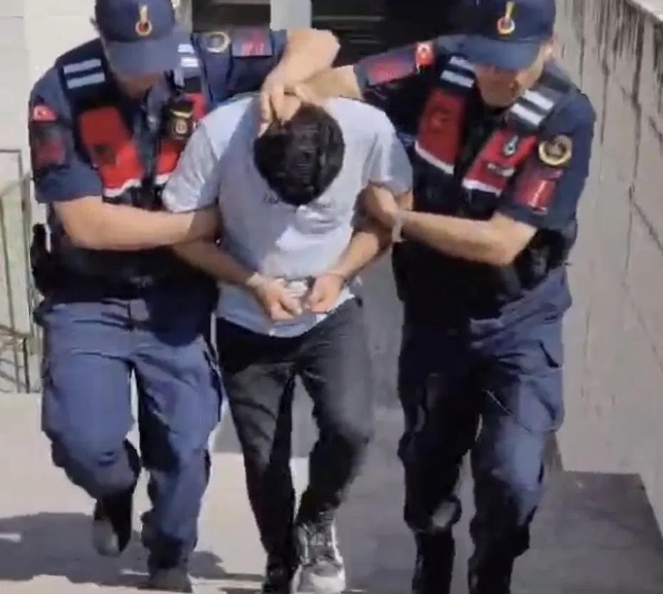 Edremit’teki orman yangına ilişkin 1 tutuklama
