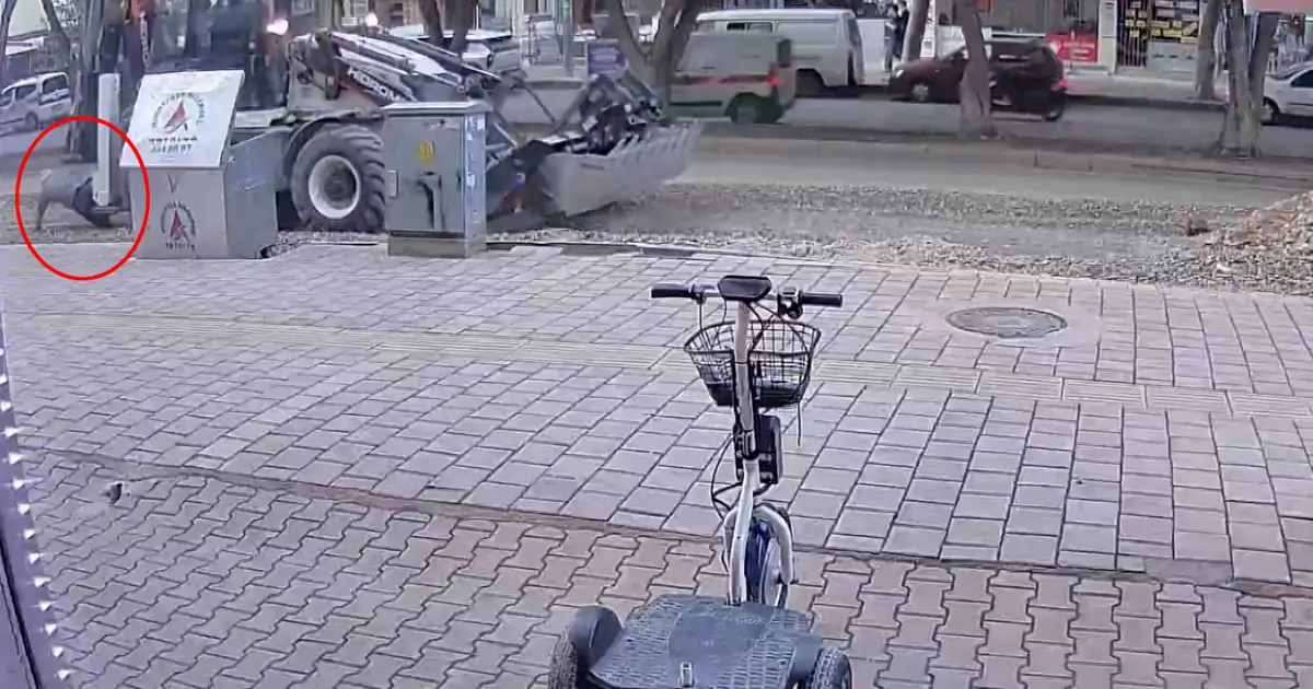 Ekmek almak için evden çıkan yaşlı adamın acı ölümü