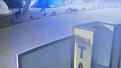 Emekli astsubay sokak köpeğini tabancayla vurdu