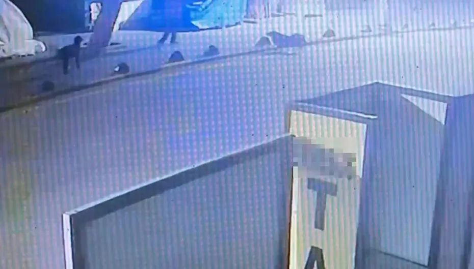 Emekli astsubay sokak köpeğini tabancayla vurdu