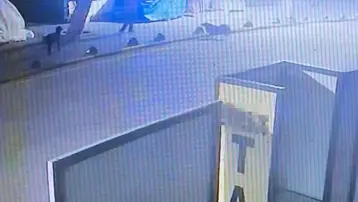 Emekli astsubay sokak köpeğini tabancayla vurdu